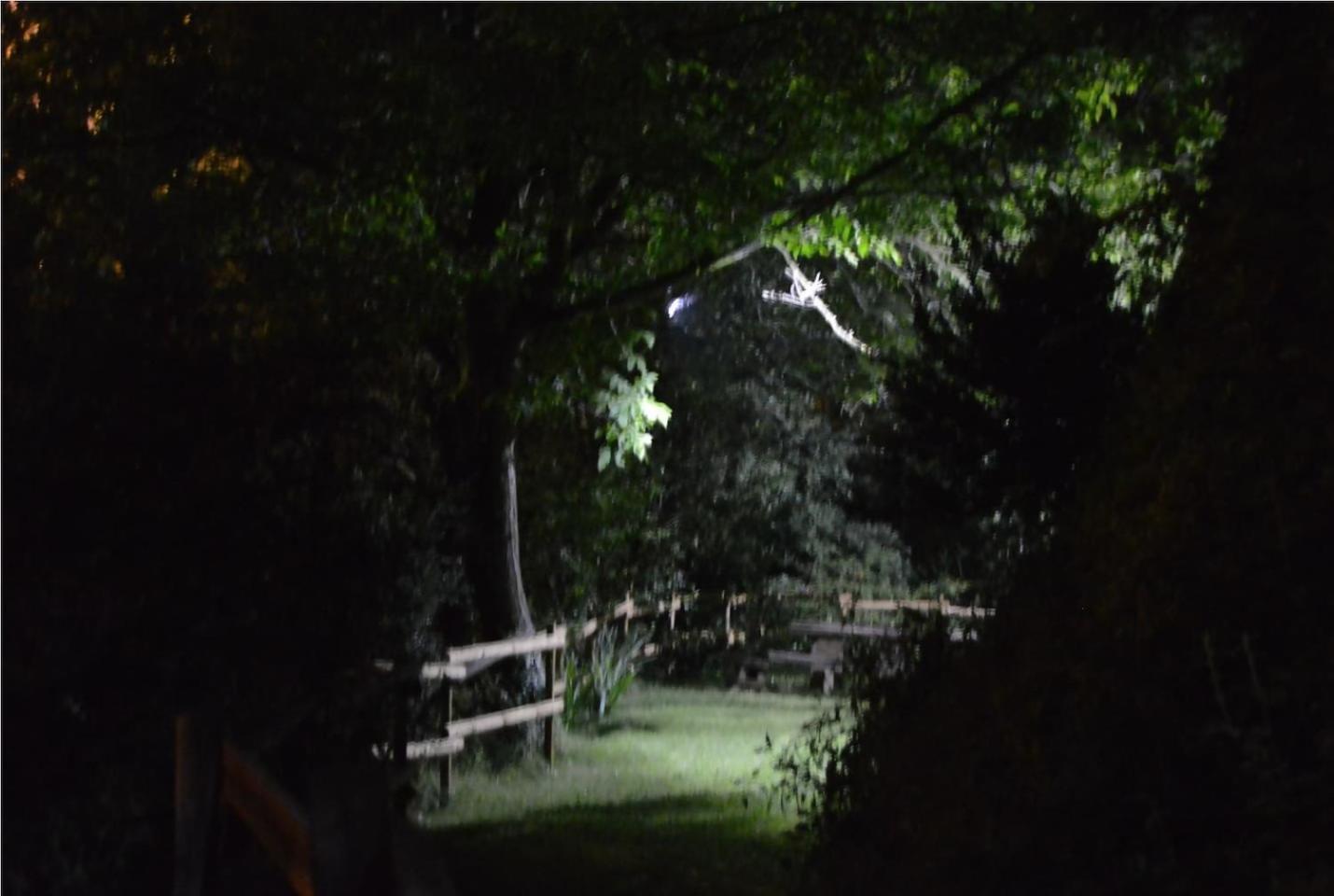 La Vinaza Ordesa Ainsa Casa Rural Laspuña Εξωτερικό φωτογραφία